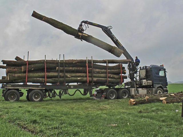 so_40_20150126_1602858597