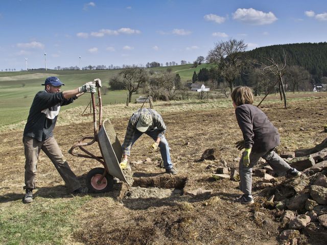 p_2_20150123_1716736955