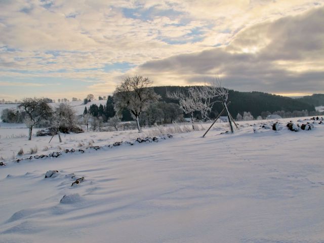 so_1_20150123_1814691579