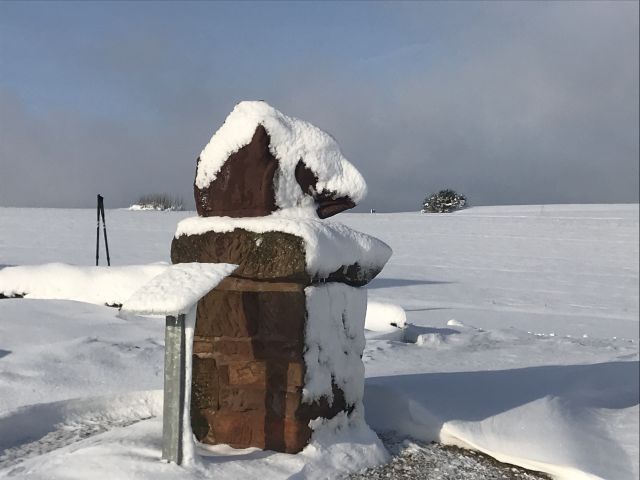 winter_2019_20_7_20200303_1196337597