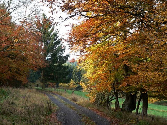 u_6_20150121_1628558363