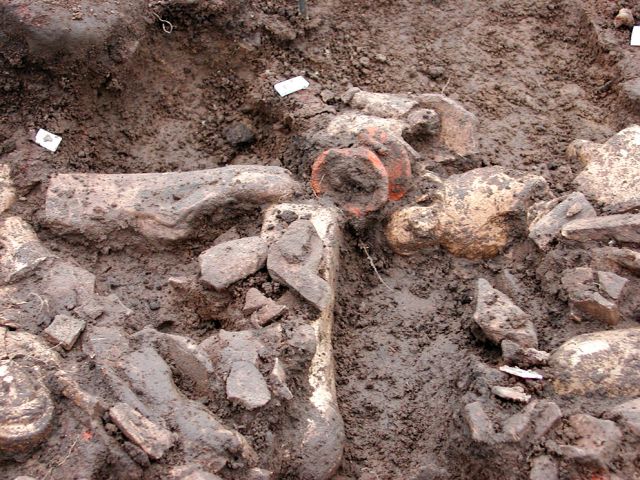 gr_6_20150122_1385066037