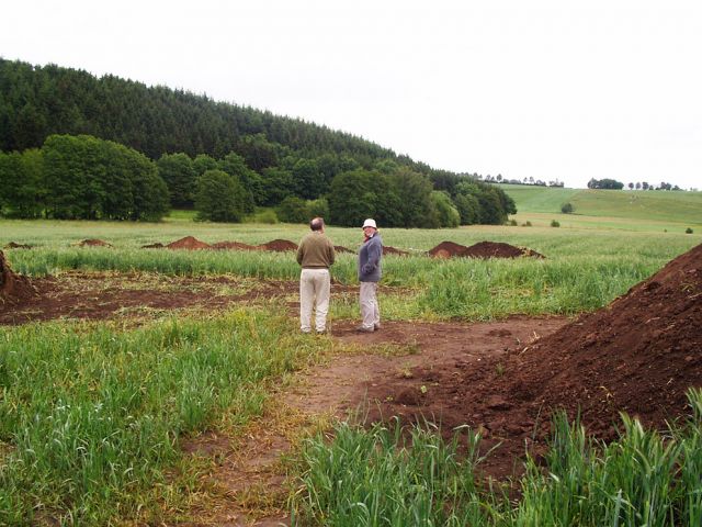 t_12_20150124_1947130149