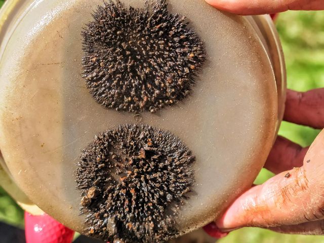 ddd_4_20160910_1526491934