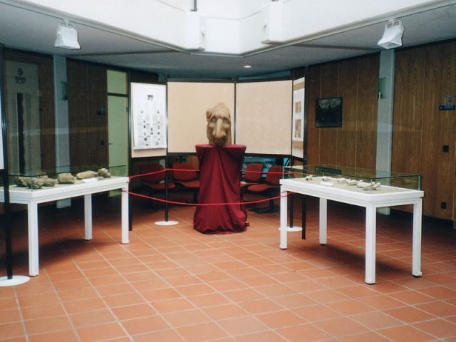 gero_7_20150123_1107520871