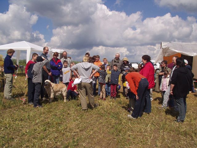 zz_16_20150124_1990797398