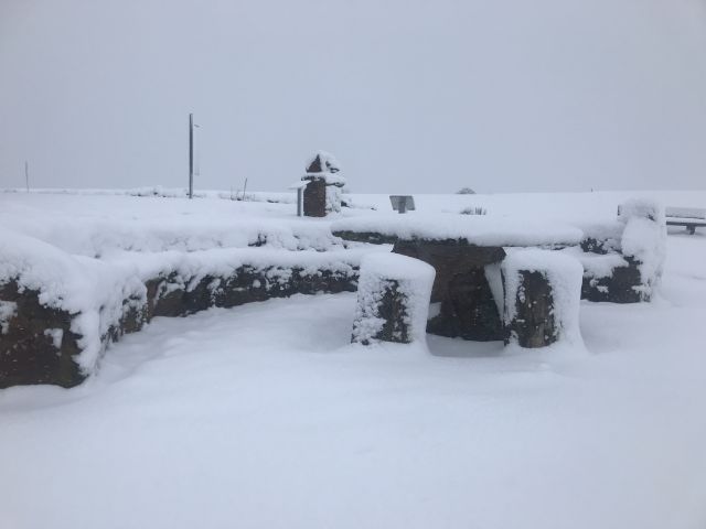 winter_2019_20_2_20200303_1522384534