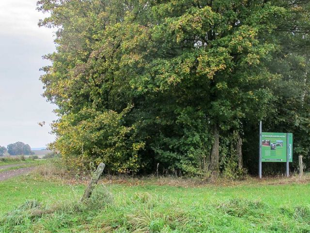 in_10_20150126_1573755831