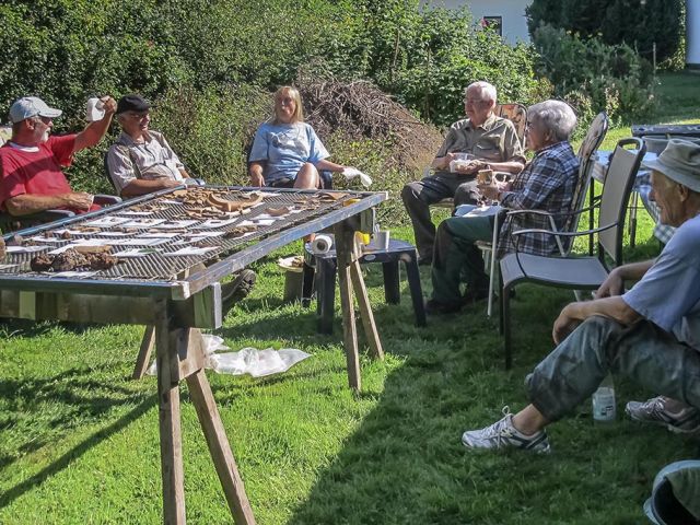 ddd_5_20160910_1723181239