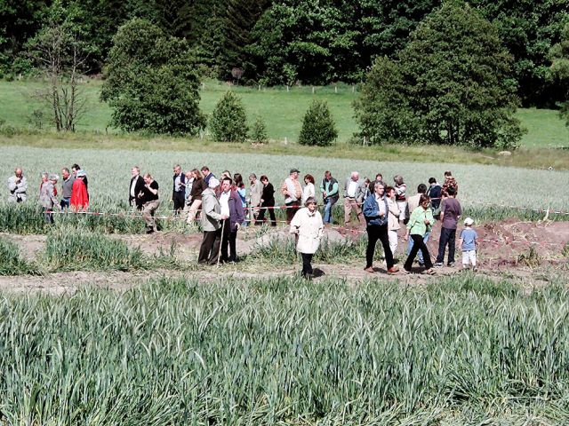 zz_50_20150124_1240124296