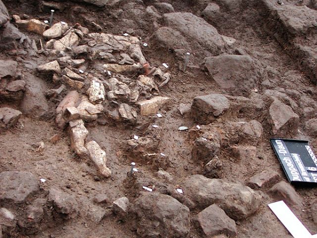 gr_10_20150122_1301921652