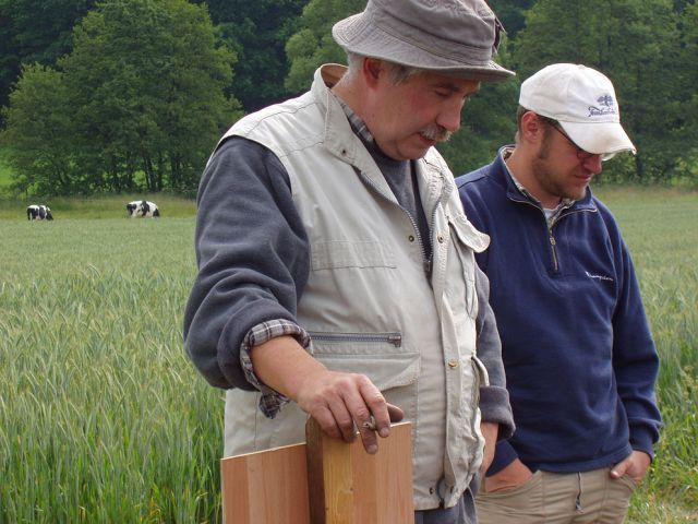 zz_12_20150124_2041053352